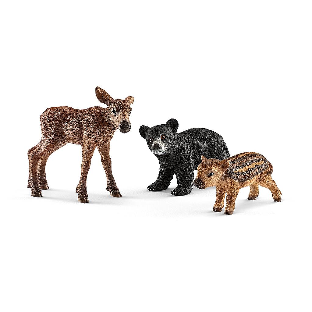 animali del bosco cuccioli