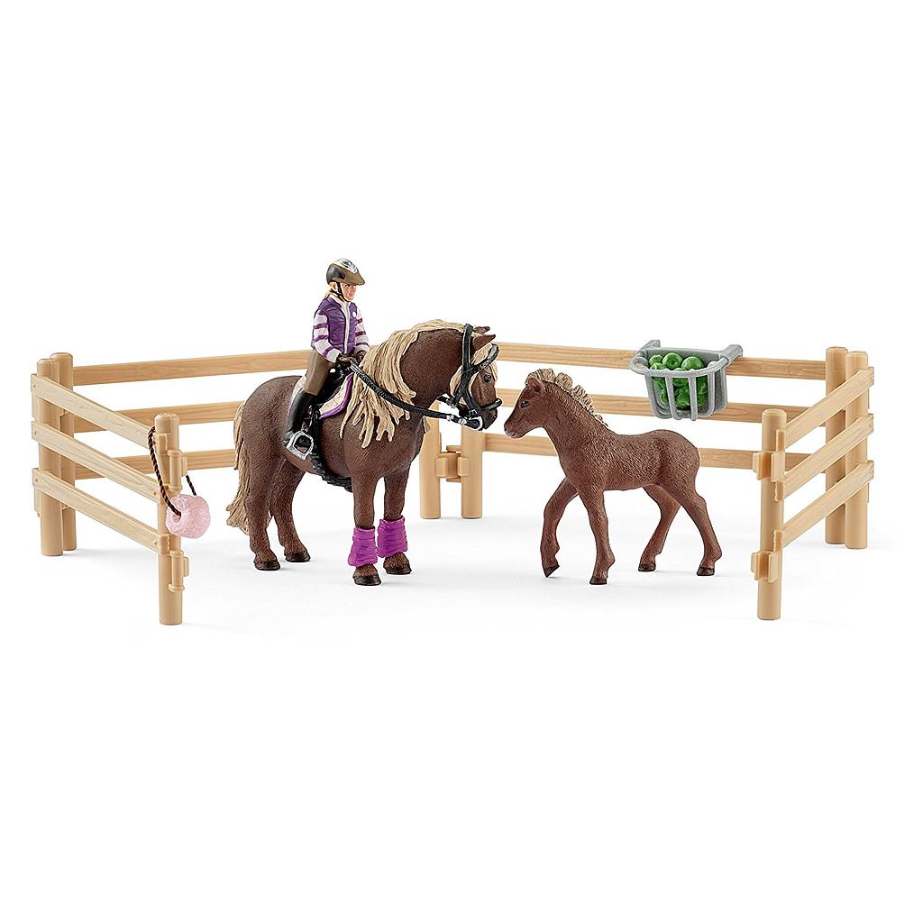 Cavallerizza con pony islandesi