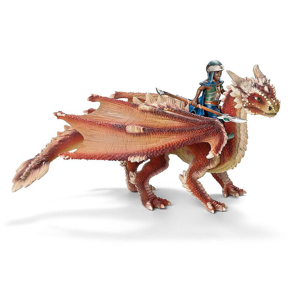 giovane cavaliere del drago