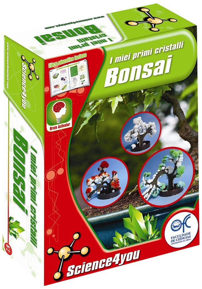 I miei primi cristalli: Bonsai