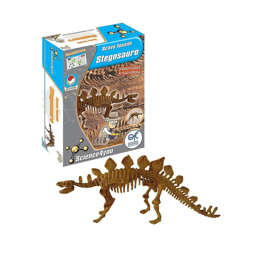 stegosauro scavo fossile