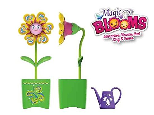 fiore magic blooms