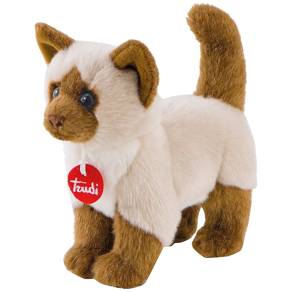gatto siamese Greta