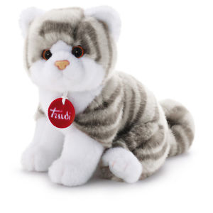 gattino brad tigrato grigio