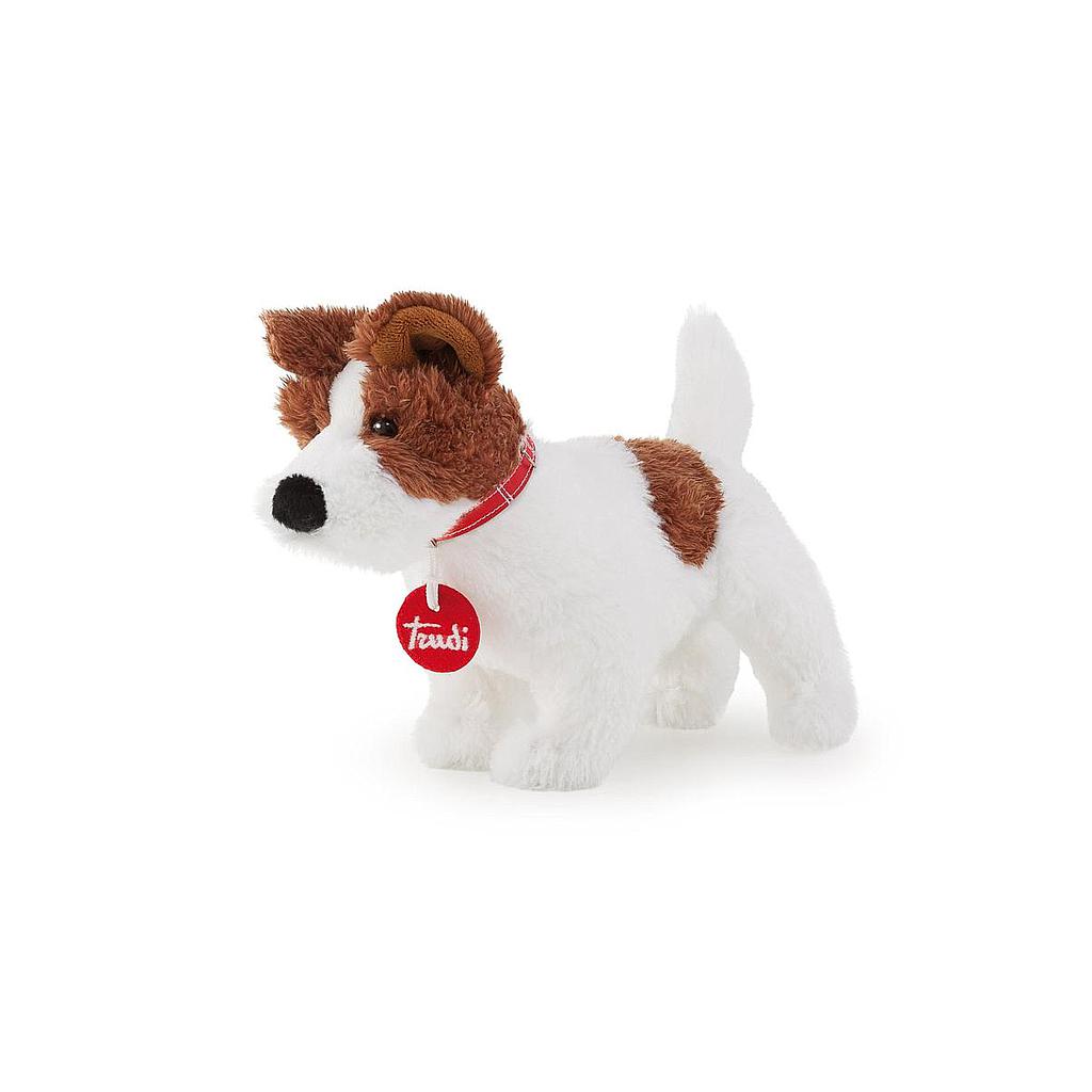 Jack Russel