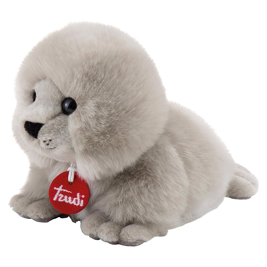 foca 24cm