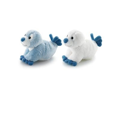 sw foca celeste o bianca