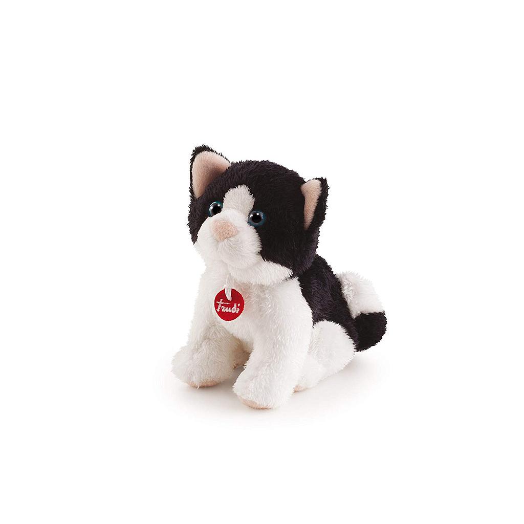 gatto trudino 