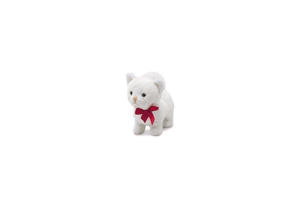 sw gattino bianco           