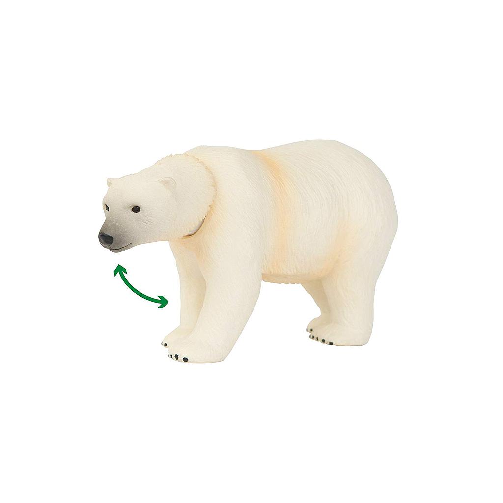 orso polare muove la testa