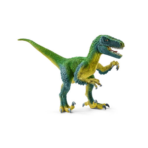 Velociraptor dinosauro