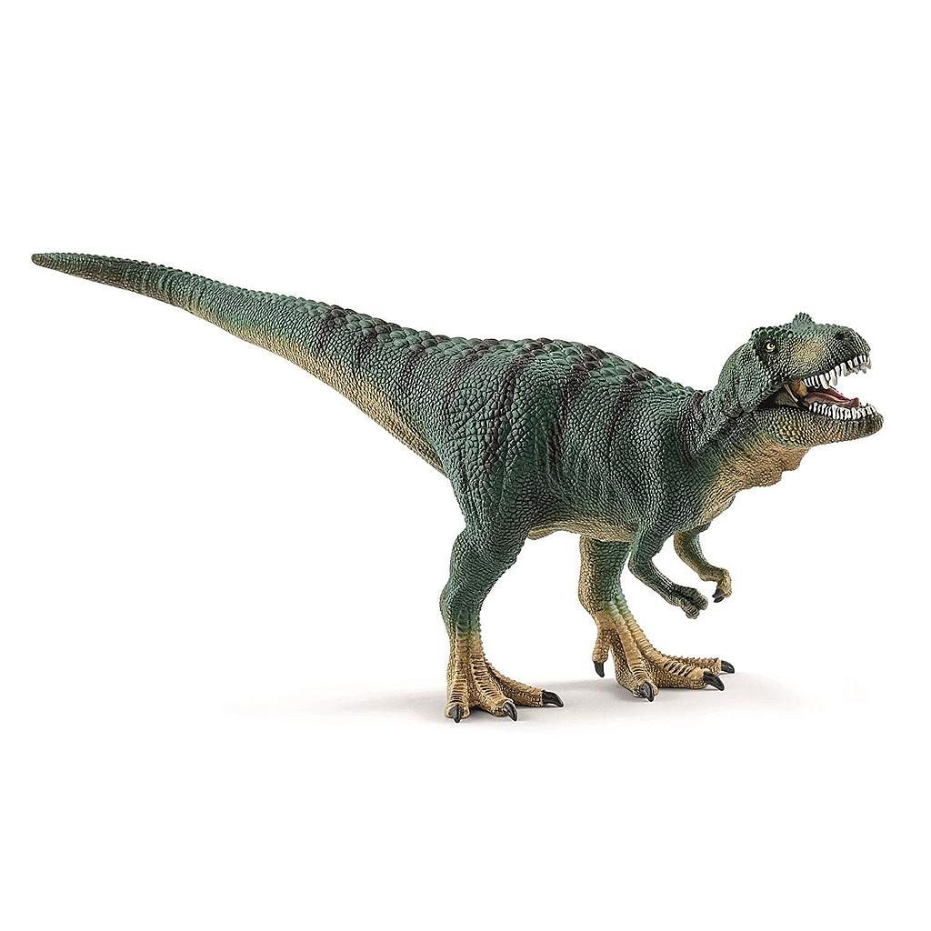 Tyrannosaurus rex juvenile