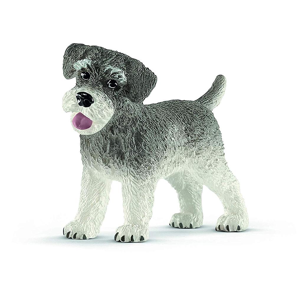 Schnauzer Nano