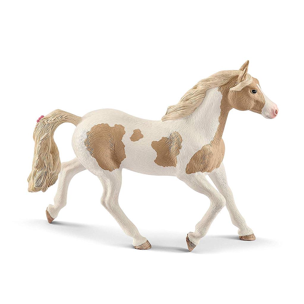 giumenta paint horse