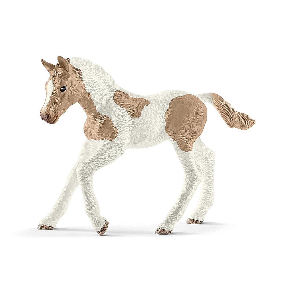 puledro paint horse
