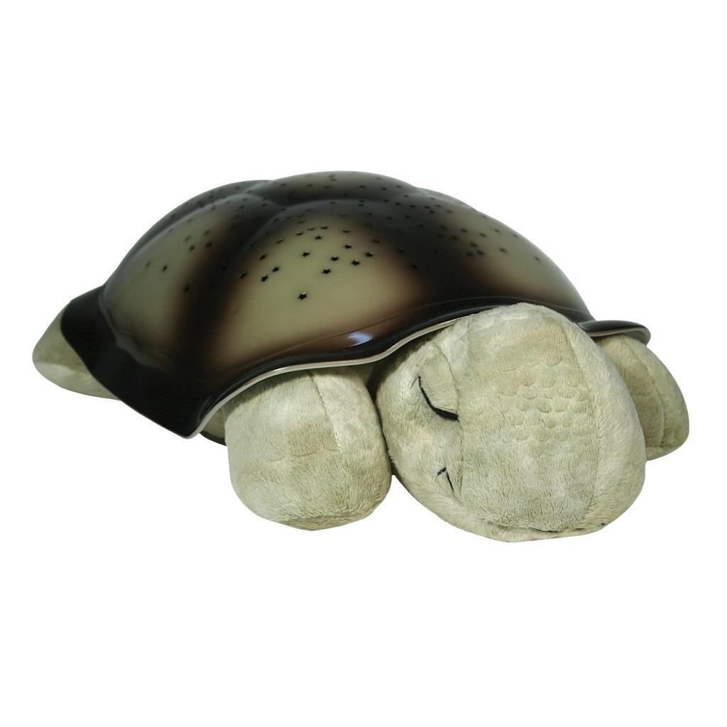lampada tartaruga Twilight Turtle marrone