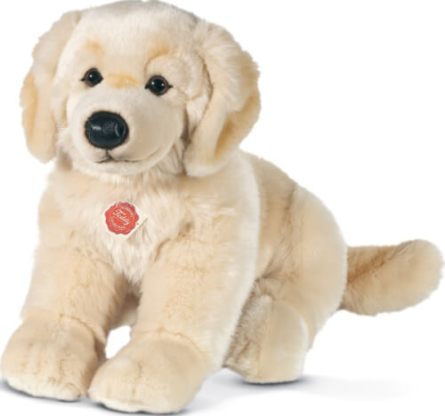 Golden retriever 30cm