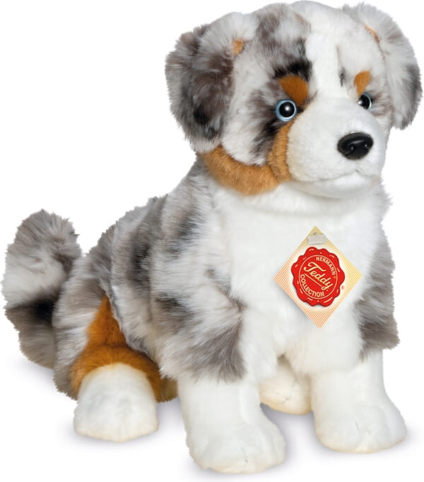 Australian Shepherd 30cm