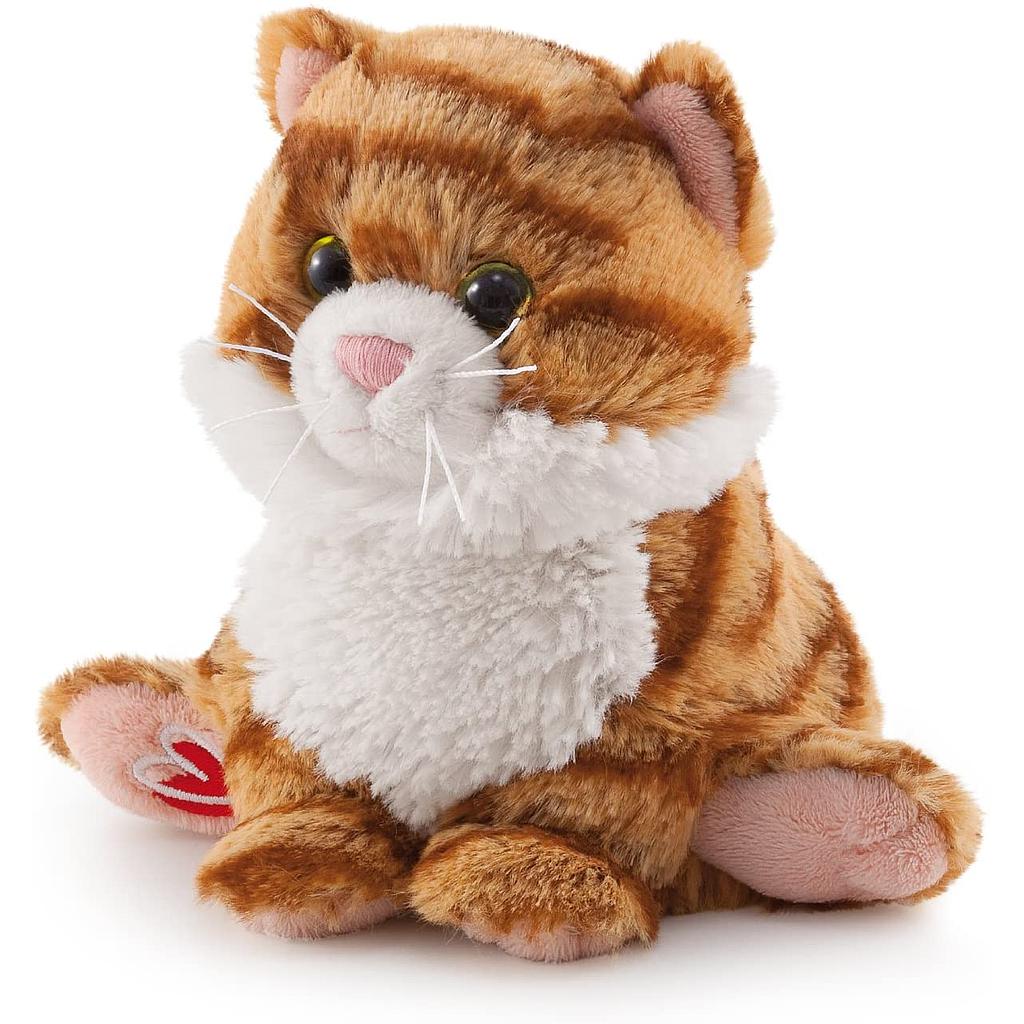 Gatto tigrato bussi