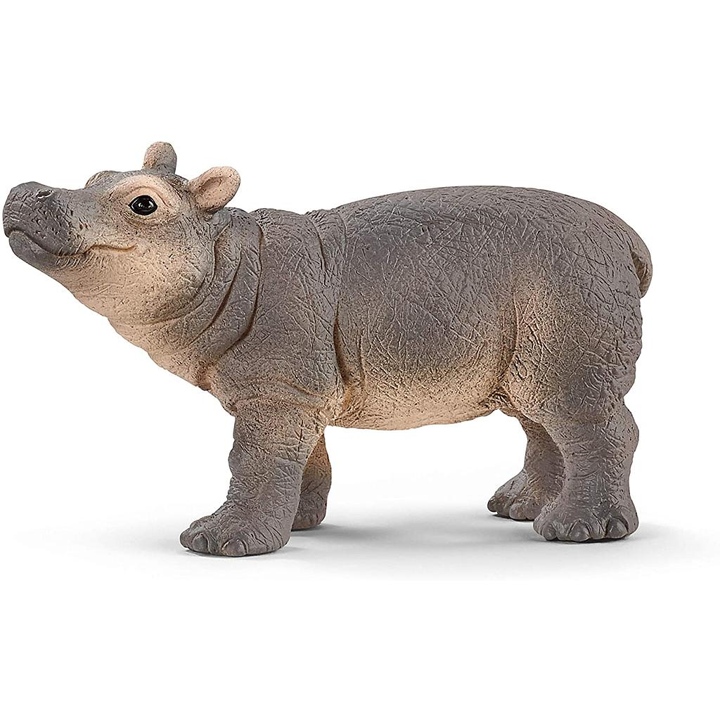 ippopotamo cucciolo