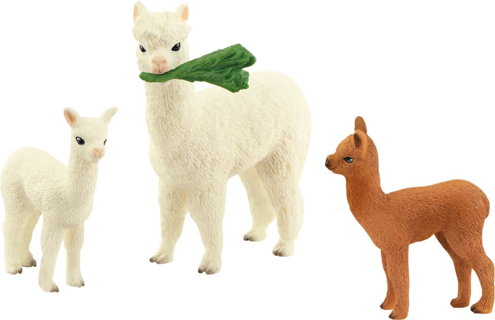 Famiglia di alpaca Wild Life