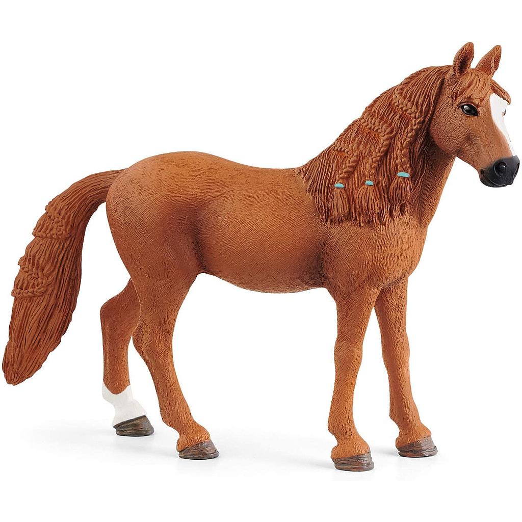 Giumenta di german riding pony Horse Club