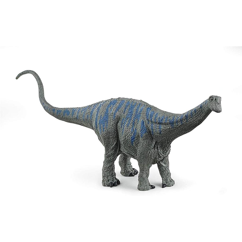 Brontosauro Dinosauro