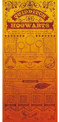 Poster regole del Quidditch