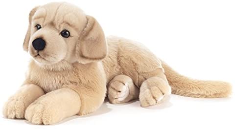 Goldy golden retriever 45cm