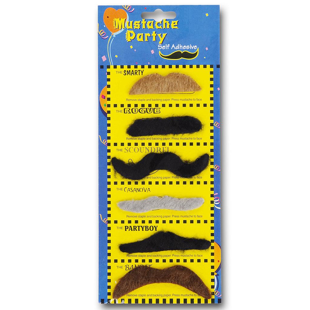 cartella con 6 baffi assortiti
