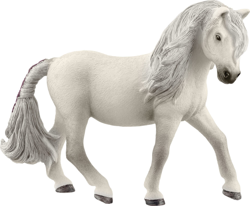 Iceland pony Mare