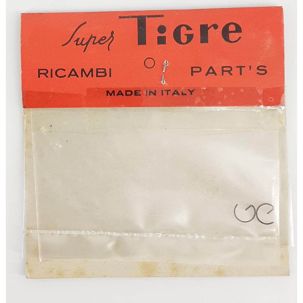 fermi spinotto motore g21 Supertigre