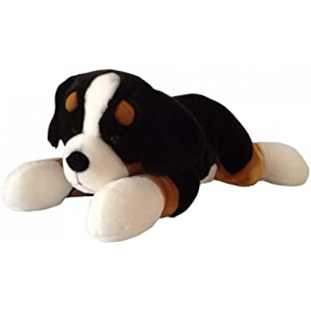 Kera cane bernese steso 70cm