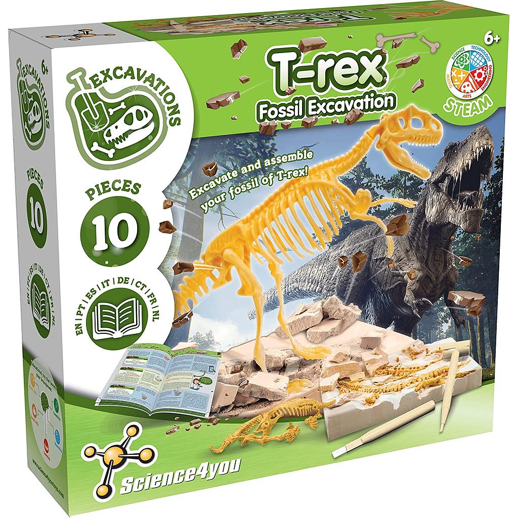 T-rex fossile da scavare