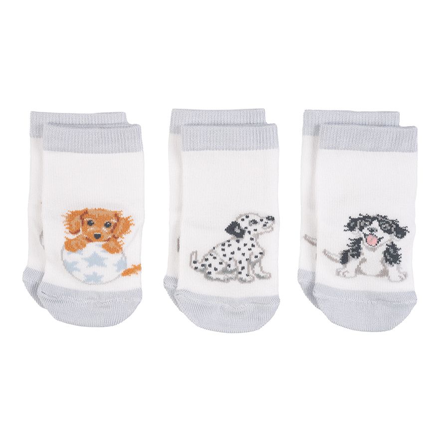 Set di calzini per bebè Little Paws 6-12 mesi