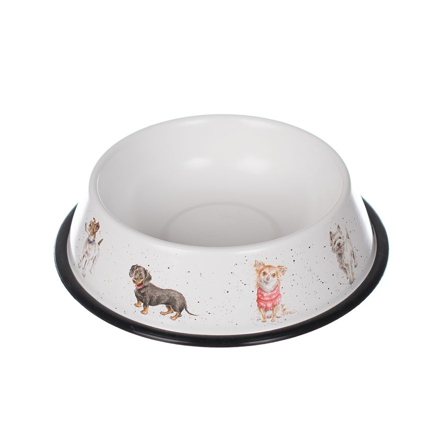 Ciotola per cani