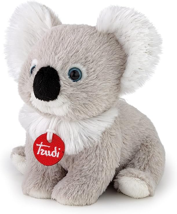 Koala Puppy