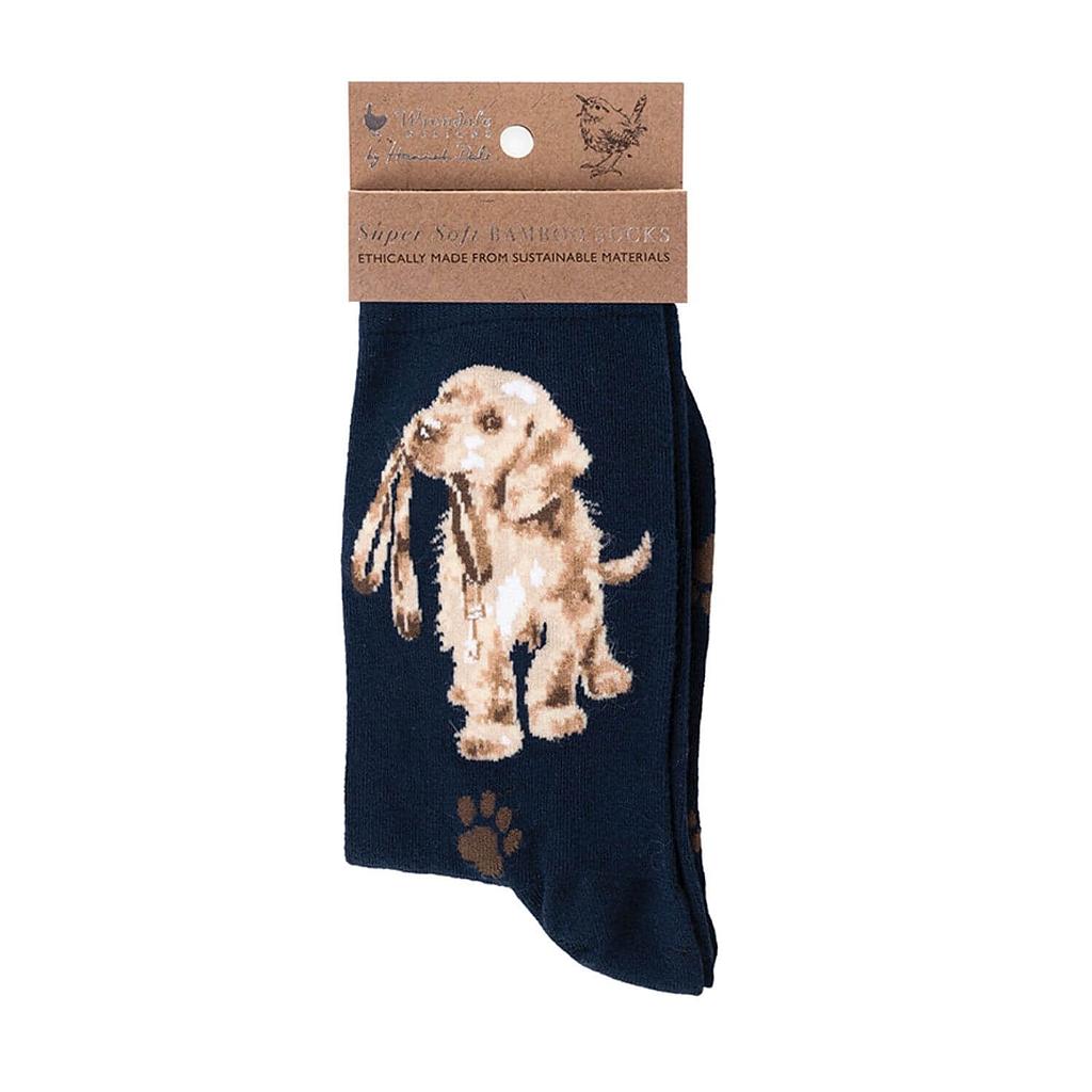 calzini Cane Hopeful
