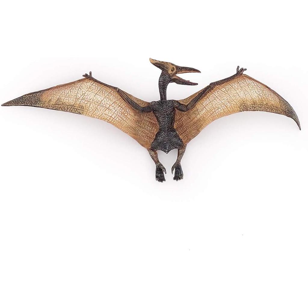 Pteranodonte