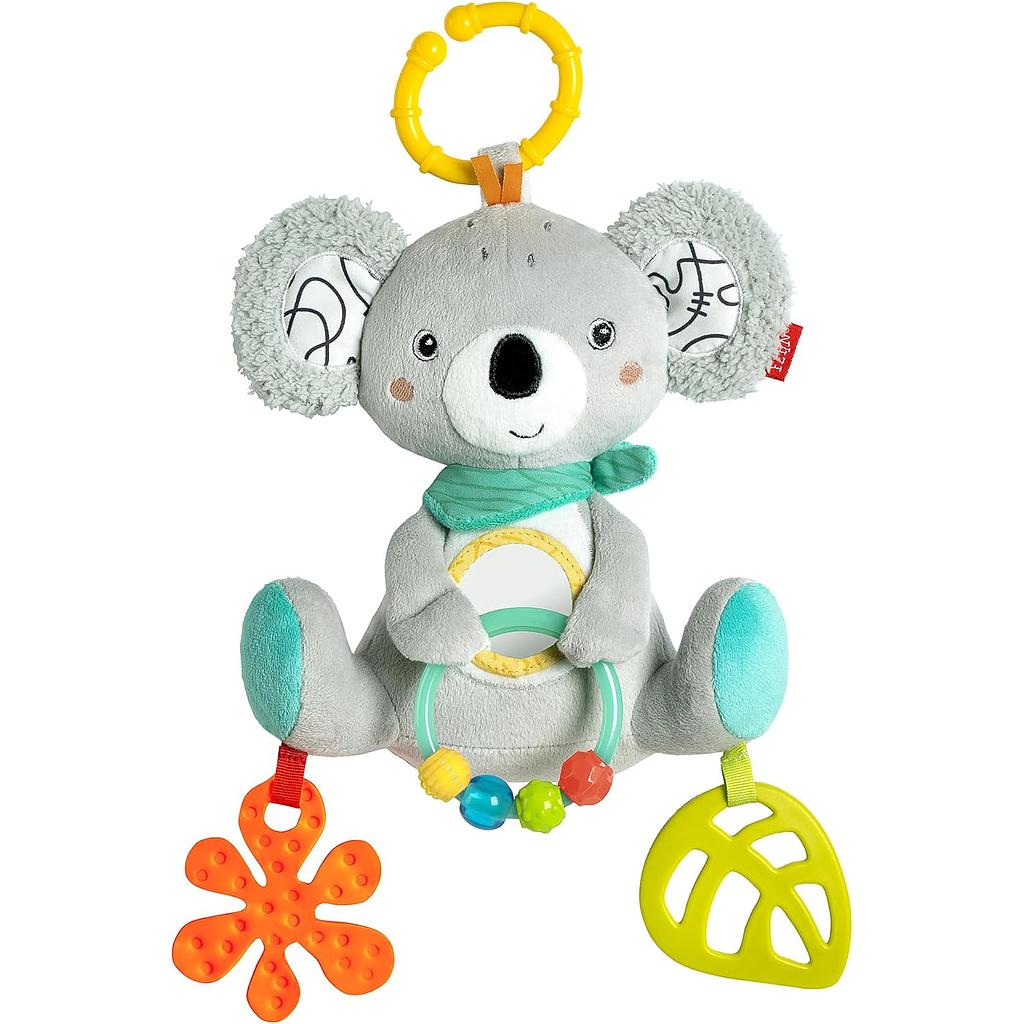 Koala attività