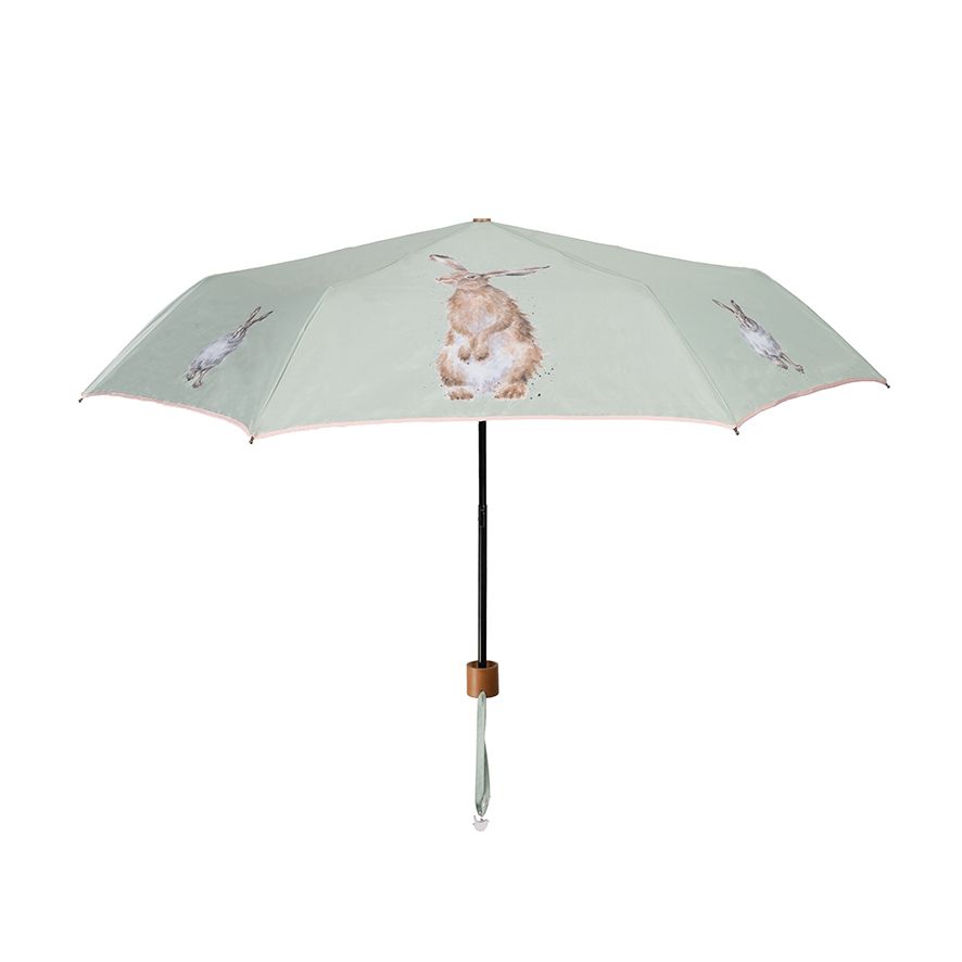 Ombrello lepre - Hare Humbrella