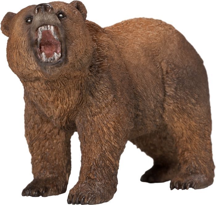 Orso Grizzly