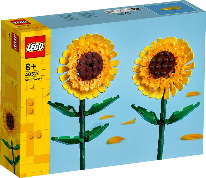 Girasoli