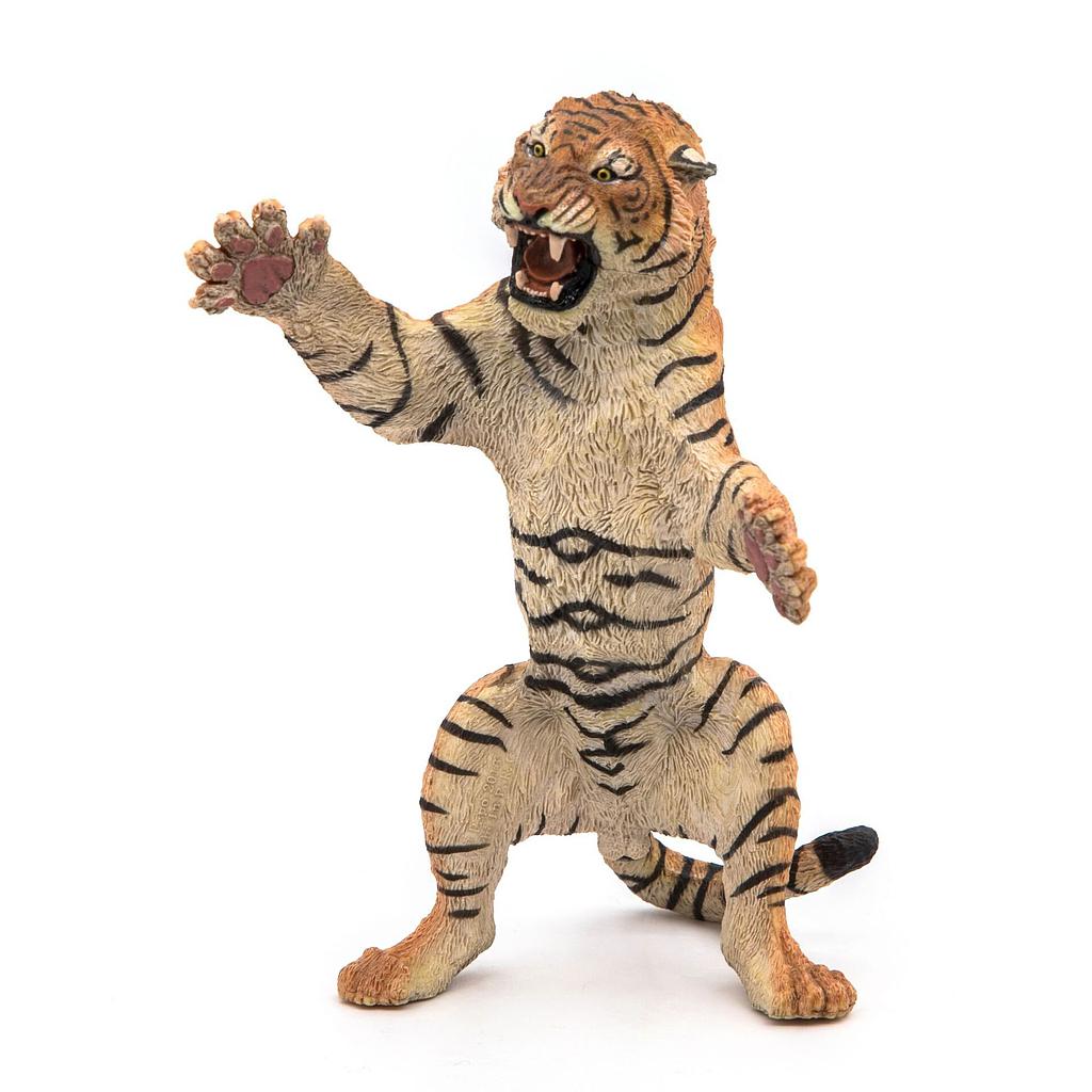 Tigre eretta