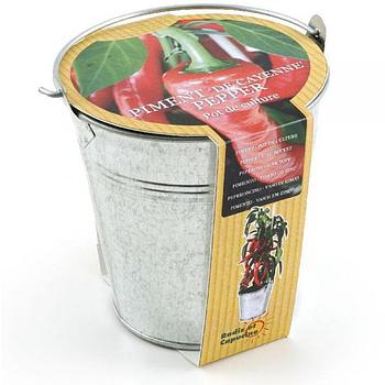 Vaso in zinco con semi di peperoncino