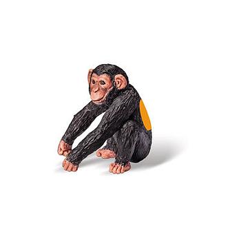 Cucciolo di scimpanzé tiptoi