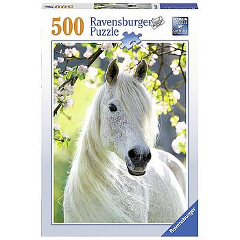 primavera equestre 500pz