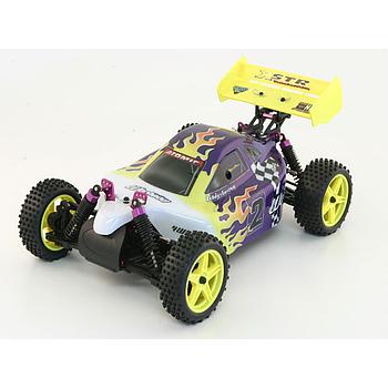atomic purple auto rc 1/10 buggy