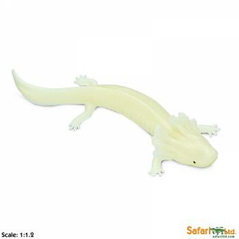 mudpuppy fosforescente