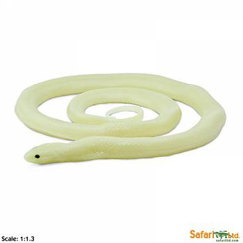 serpente reale fosforescente